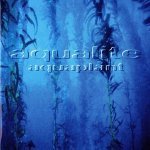 Aqualite — Wavemaker