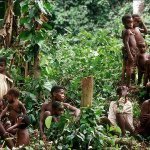 Baka Forest People — Naboma (Ngombi Na Péké 3)