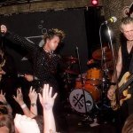 Foxboro Hot Tubs — Alligator