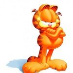 Garfield — Cool Cat (Radio Remix)