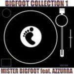 Mister Bigfoot feat. Azzurra — Crush (Radio Edit)