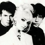 The Primitives — The Ostrich