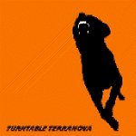 Turntable Terranova — Precipice