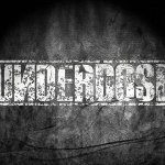 Underdose — Never again
